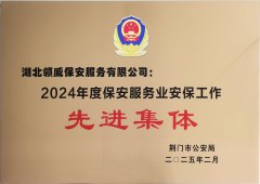 喜報！領威保安榮獲“2024年度保安服務業(yè)安保工